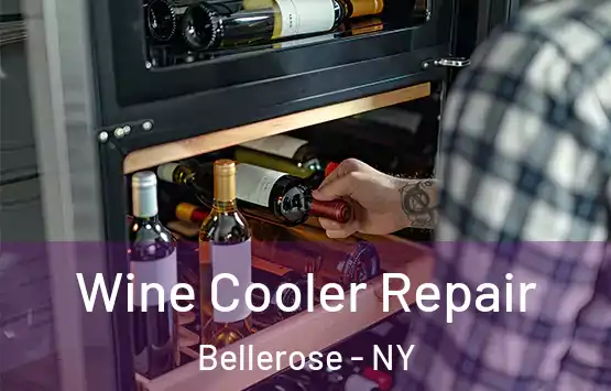  Wine Cooler Repair Bellerose - NY