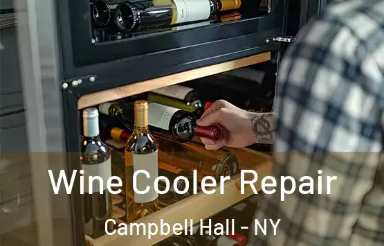  Wine Cooler Repair Campbell Hall - NY