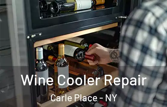  Wine Cooler Repair Carle Place - NY