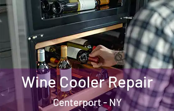  Wine Cooler Repair Centerport - NY