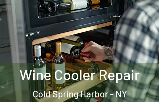  Wine Cooler Repair Cold Spring Harbor - NY
