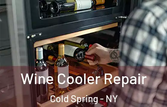  Wine Cooler Repair Cold Spring - NY