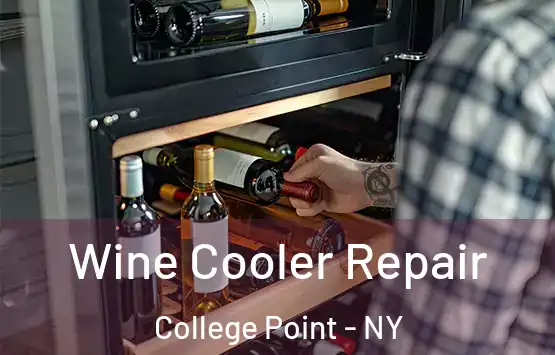  Wine Cooler Repair College Point - NY