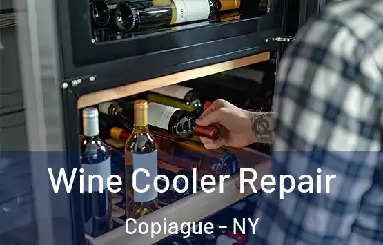  Wine Cooler Repair Copiague - NY