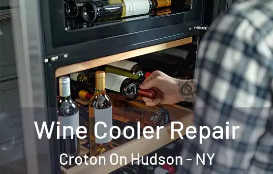  Wine Cooler Repair Croton On Hudson - NY