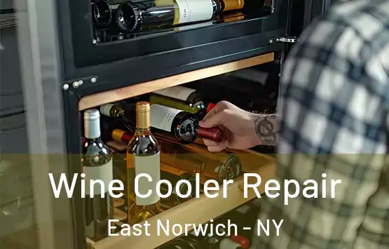  Wine Cooler Repair East Norwich - NY