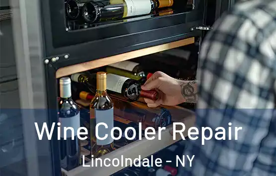  Wine Cooler Repair Lincolndale - NY