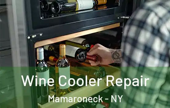  Wine Cooler Repair Mamaroneck - NY