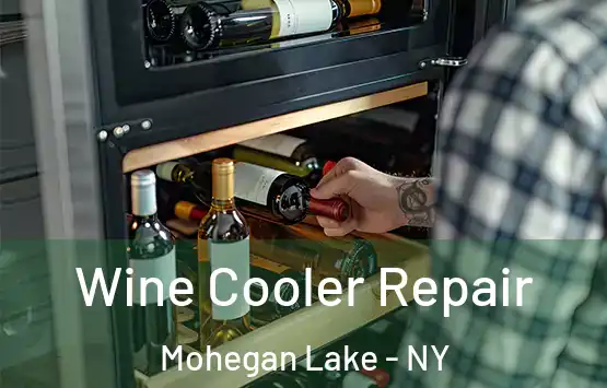  Wine Cooler Repair Mohegan Lake - NY