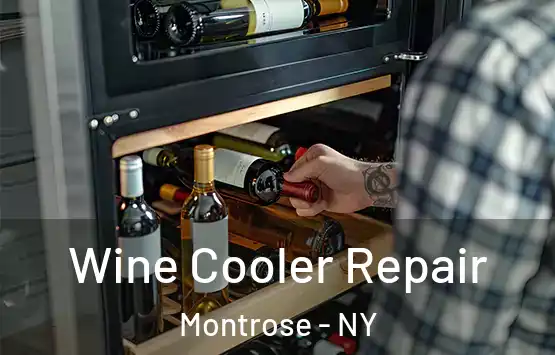  Wine Cooler Repair Montrose - NY