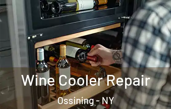  Wine Cooler Repair Ossining - NY