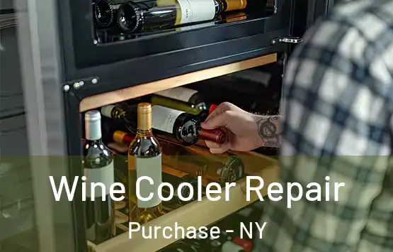  Wine Cooler Repair Purchase - NY