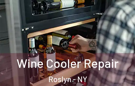  Wine Cooler Repair Roslyn - NY