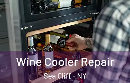  Wine Cooler Repair Sea Cliff - NY