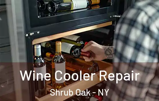  Wine Cooler Repair Shrub Oak - NY