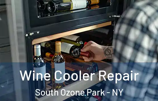  Wine Cooler Repair South Ozone Park - NY