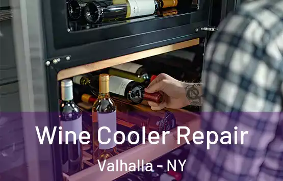  Wine Cooler Repair Valhalla - NY