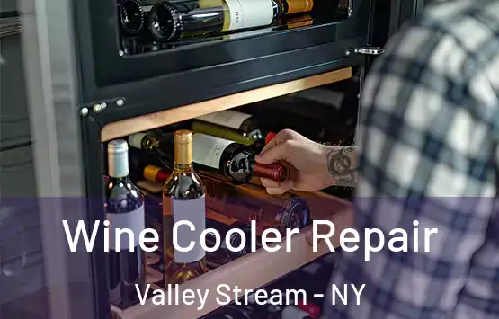  Wine Cooler Repair Valley Stream - NY