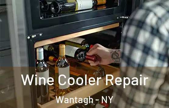  Wine Cooler Repair Wantagh - NY