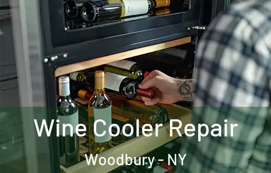  Wine Cooler Repair Woodbury - NY